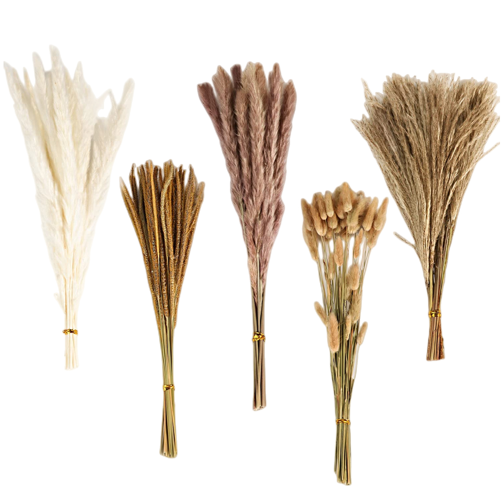 Pampas Grass Decor - ช่อดอกไม้แห้งผสมสไตล์วินเทจฤดูใบไม้ร่วง, หญ้าแพมพัส, หญ้าหางกระต่าย และยูคาลิปตัสแดงอบแห้ง, สำหรับตกแต่งแจกันบนโต๊ะในบ้าน, ตกแต่งงานแต่งงาน,