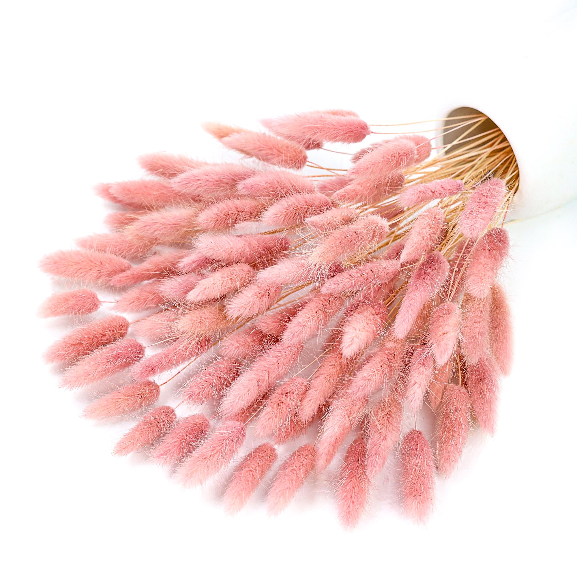 Pampas Grass Decor - หญ้าแพมพัสแห้งสีชมพู 120 ก้าน สำหรับตกแต่งงานแต่งงานสไตล์โบโฮ ตกแต่งโต๊ะกลางบ้าน ห้องนอน