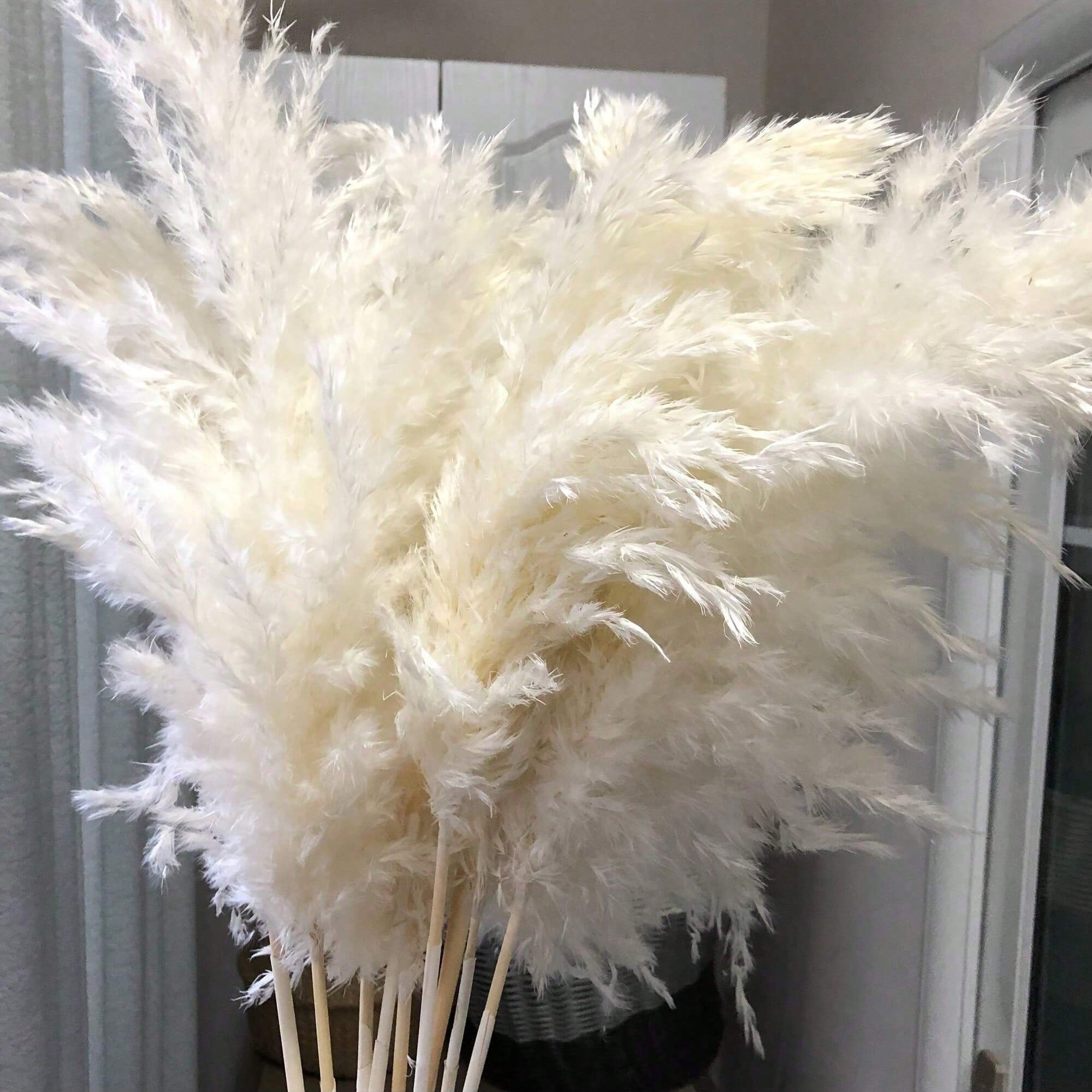 Pampas Grass Decor - 10/20/30 ชิ้น หญ้าแพมพัสประดิษฐ์สีขาว ขนาด 17.3 นิ้ว