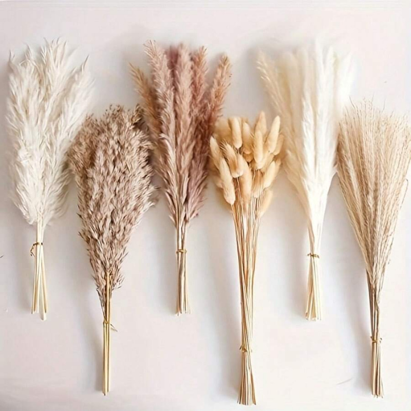 Pampas Grass Decor - ช่อดอกหญ้าแพมพัสแห้ง 110 ชิ้น - สีน้ำตาลและสีขาว เหมาะสำหรับงานแต่งงาน