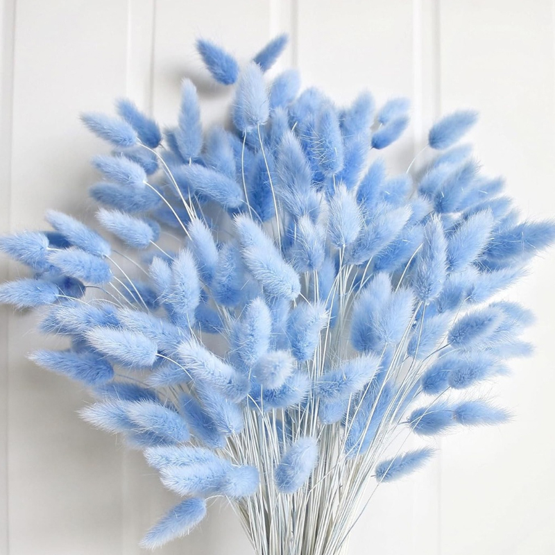 Pampas Grass Decor - 100PCS Blue Hare's-tail หญ้ากระต่ายกระต่ายหาง Home Room