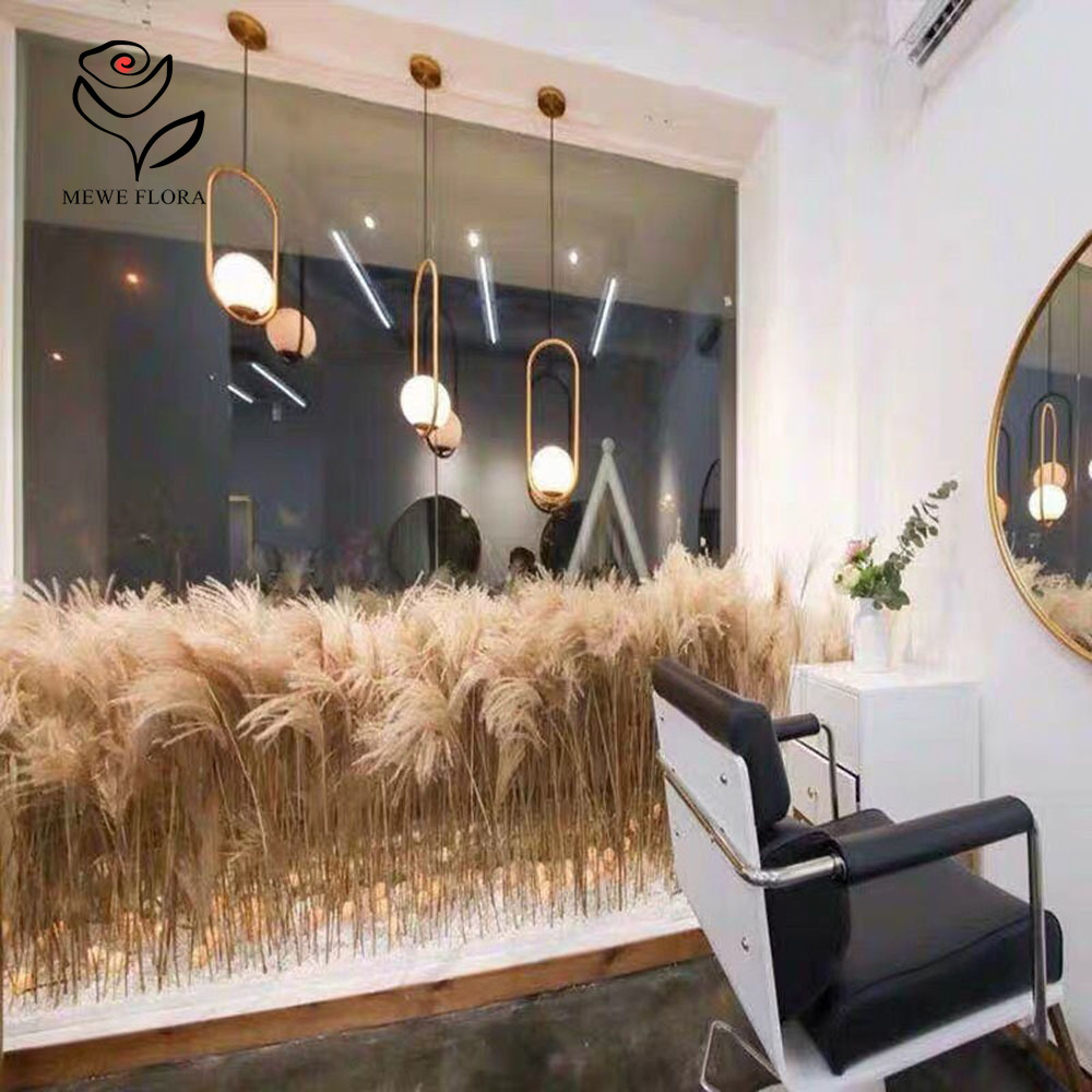 200PCS ธรรมชาติแห้ง Fluffy Ree - Pampas Grass Decor บทวิจารณ์และราคา