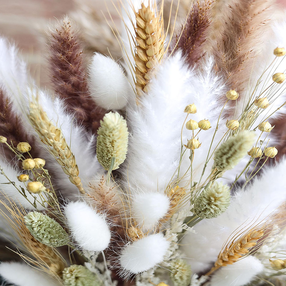 ช่อดอกหญ้าแพมพัสแห้ง 100 ชิ้น  - Pampas Grass Decor บทวิจารณ์และราคา
