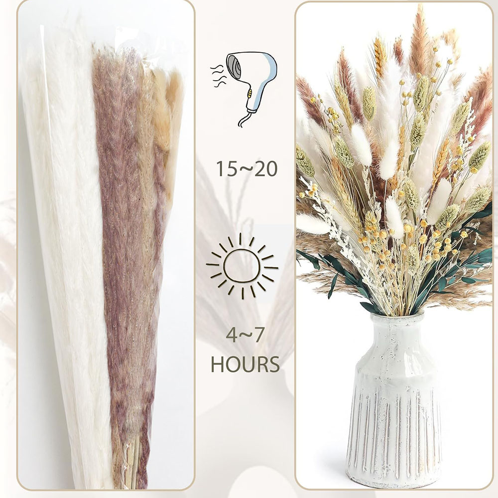 ช่อดอกหญ้าแพมพัสแห้ง 100 ชิ้น  - Pampas Grass Decor บทวิจารณ์และราคา