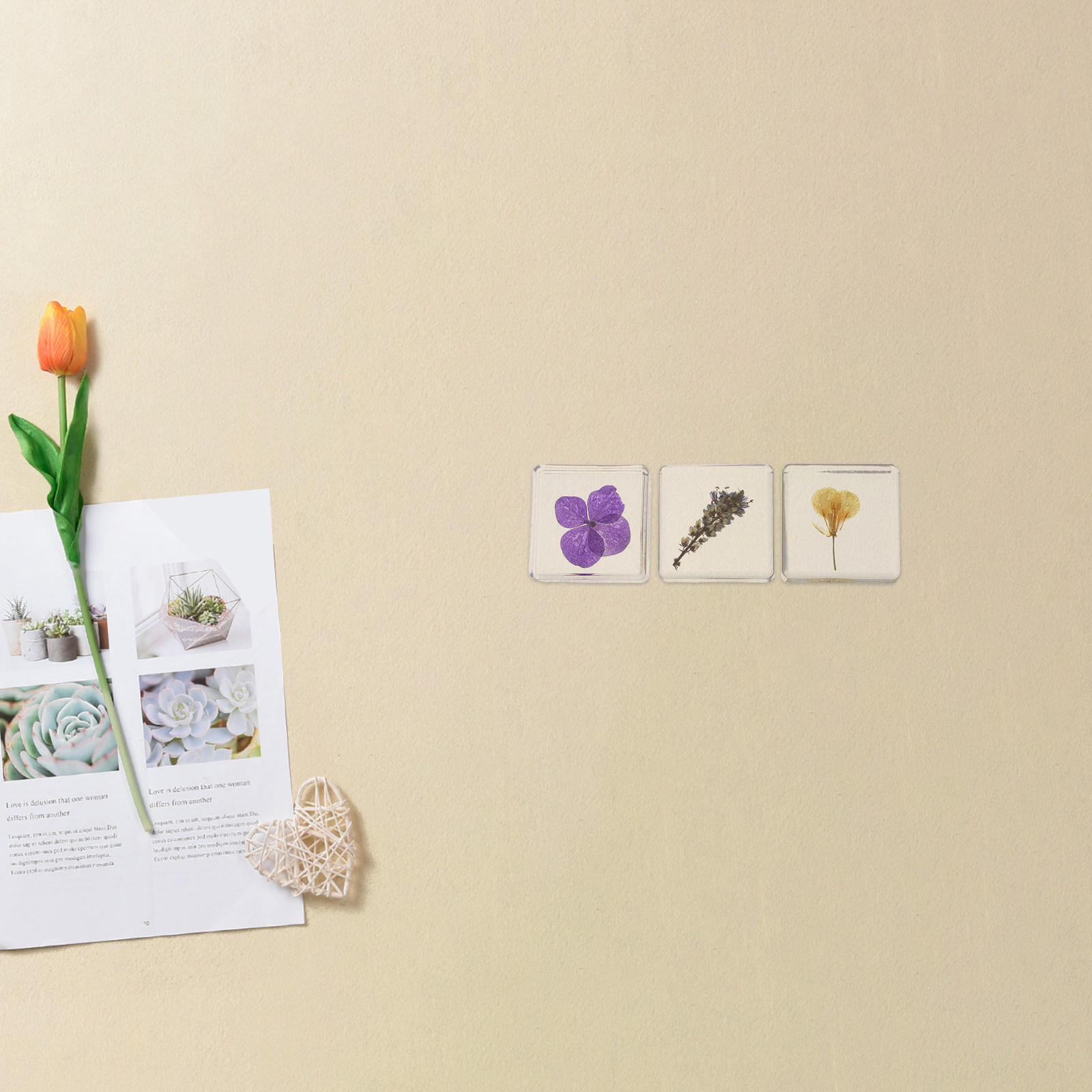 ชุด 3 ชิ้น ตัวอย่างดอกไม้เรซิน - Home Decor Resin บทวิจารณ์และราคา