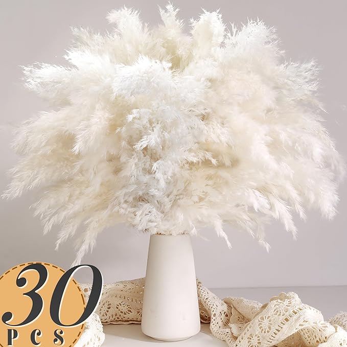 หญ้าแพมพัสสีขาว 30 ชิ้นสำหรับต - Pampas Grass Decor บทวิจารณ์และราคา