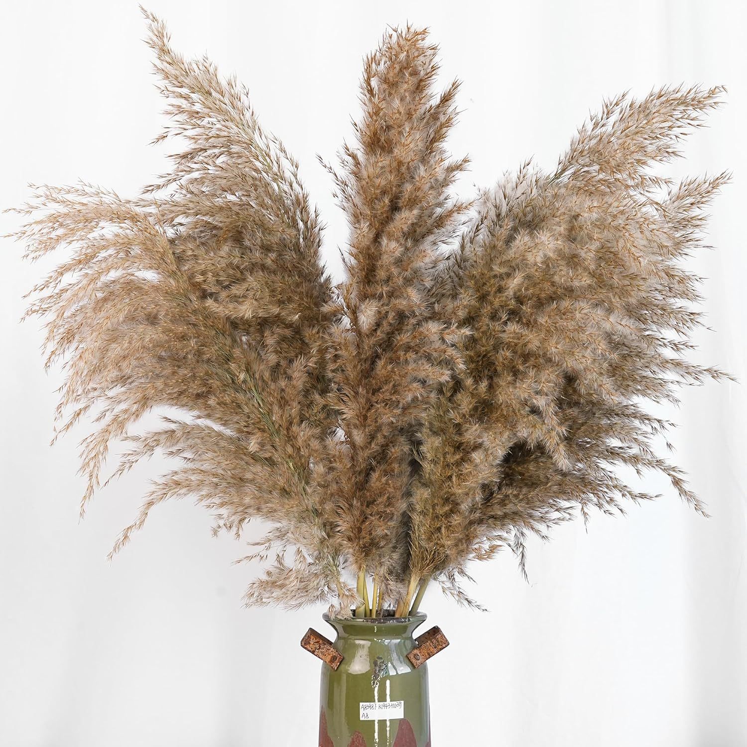 หญ้าแพมพัสสีขาว 30 ชิ้นสำหรับต - Pampas Grass Decor บทวิจารณ์และราคา