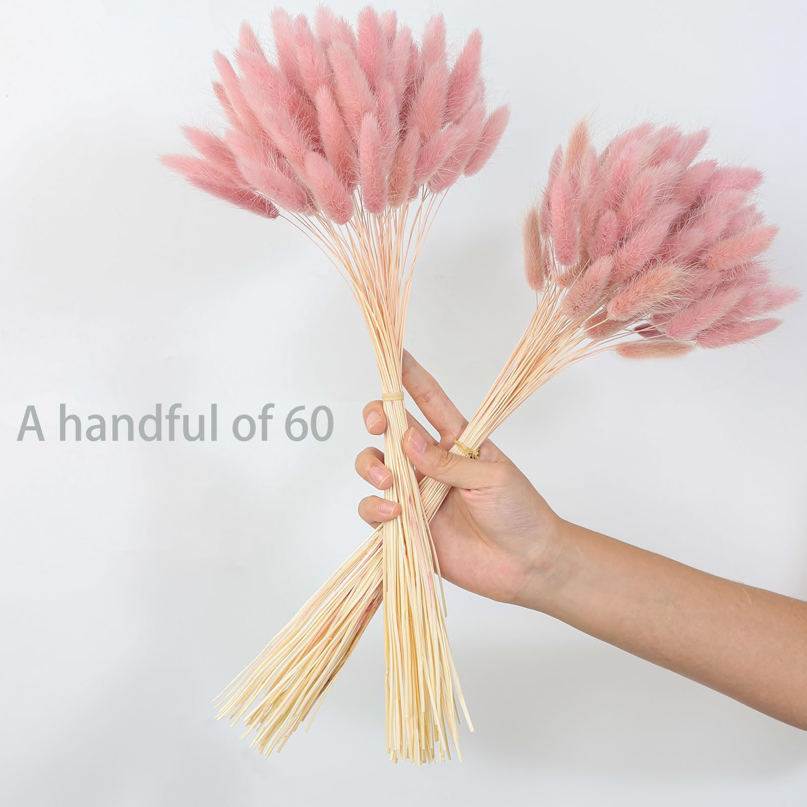 หญ้าแพมพัสแห้งสีชมพู 120 ก้าน  - Pampas Grass Decor บทวิจารณ์และราคา