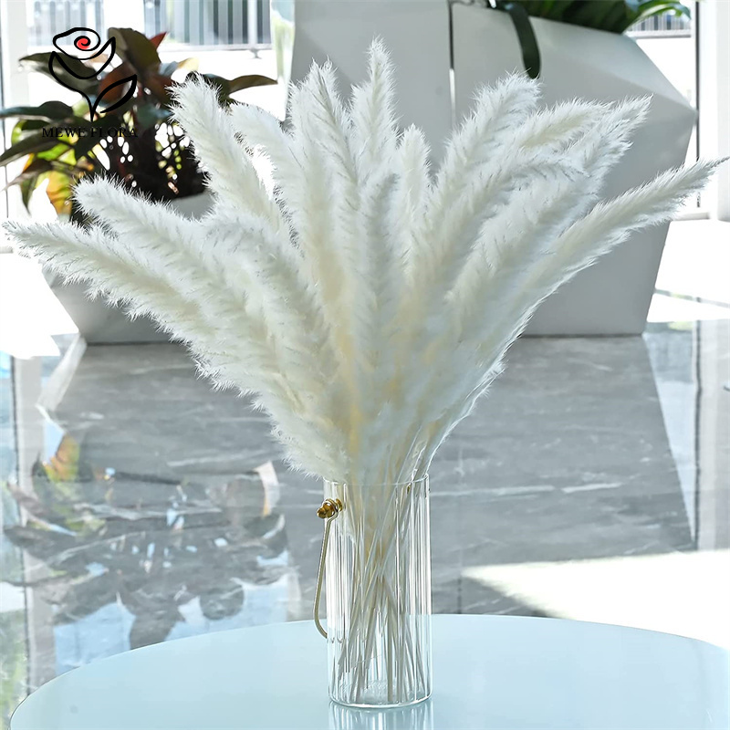 ดอกไม้แห้งธรรมชาติ 18 ก้าน ช่อ - Pampas Grass Decor บทวิจารณ์และราคา