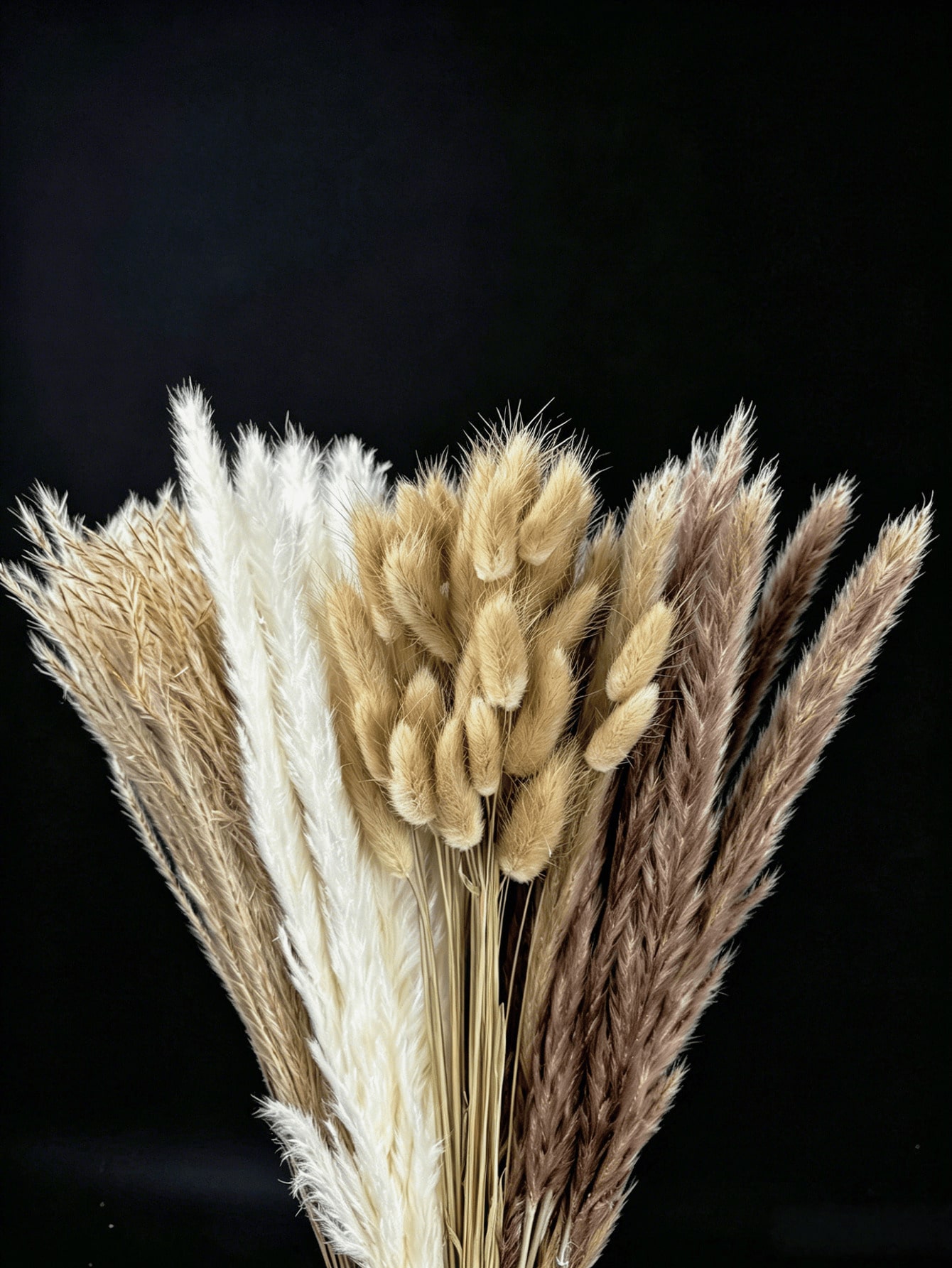 10/20/30 ชิ้น หญ้าแพมพัสประดิษ - Pampas Grass Decor บทวิจารณ์และราคา