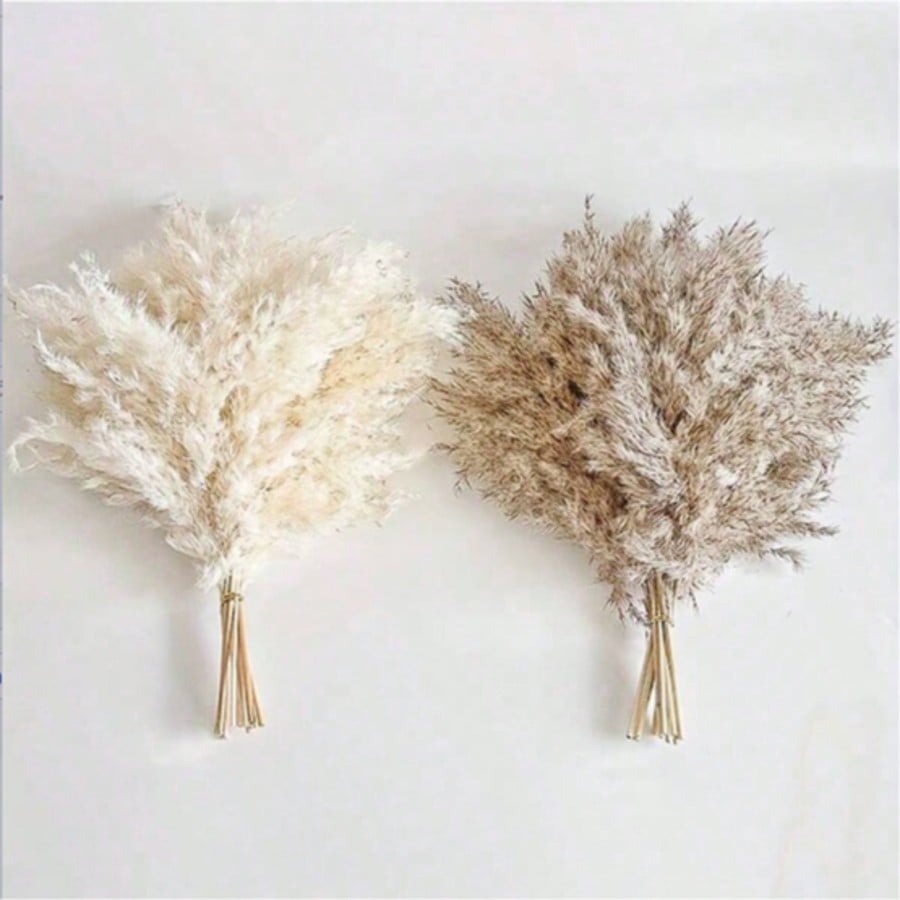 10/20/30 ชิ้น หญ้าแพมพัสประดิษ - Pampas Grass Decor บทวิจารณ์และราคา