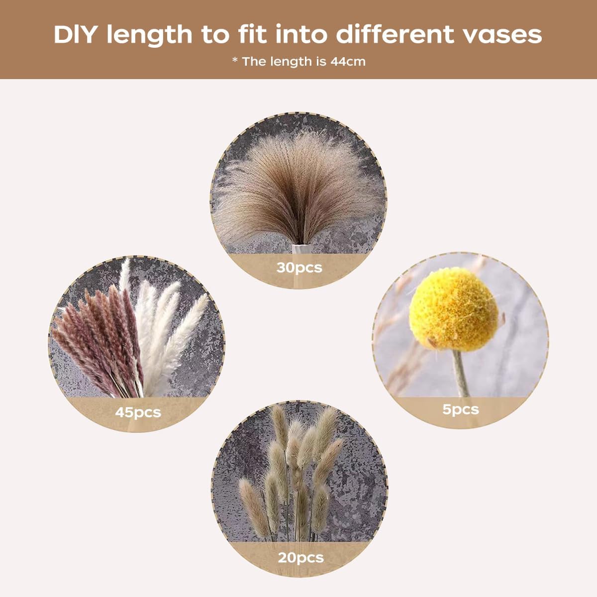 ช่อดอกแพมพัสแห้ง ดอกไม้แห้งธรร - Pampas Grass Decor บทวิจารณ์และราคา