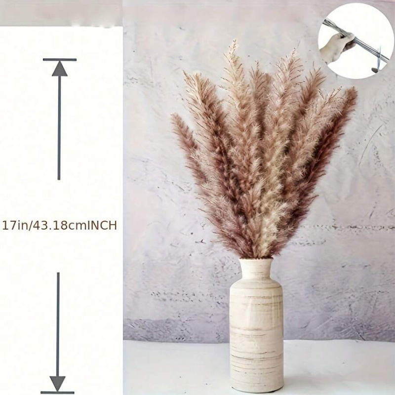 ช่อดอกหญ้าแพมพัสแห้ง 110 ชิ้น  - Pampas Grass Decor บทวิจารณ์และราคา