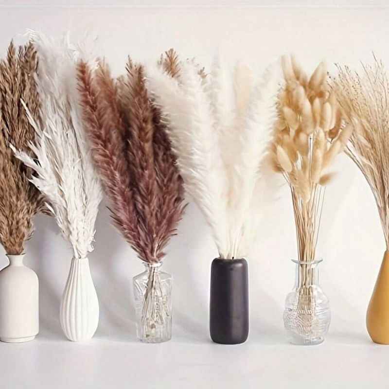 ช่อดอกหญ้าแพมพัสแห้ง 110 ชิ้น  - Pampas Grass Decor บทวิจารณ์และราคา