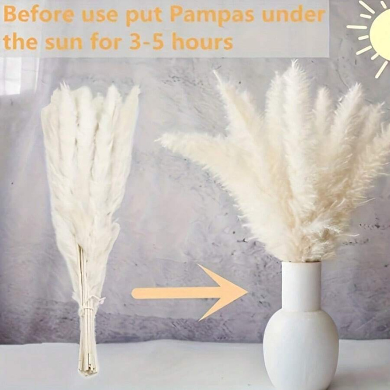 ช่อดอกหญ้าแพมพัสแห้ง 110 ชิ้น  - Pampas Grass Decor บทวิจารณ์และราคา