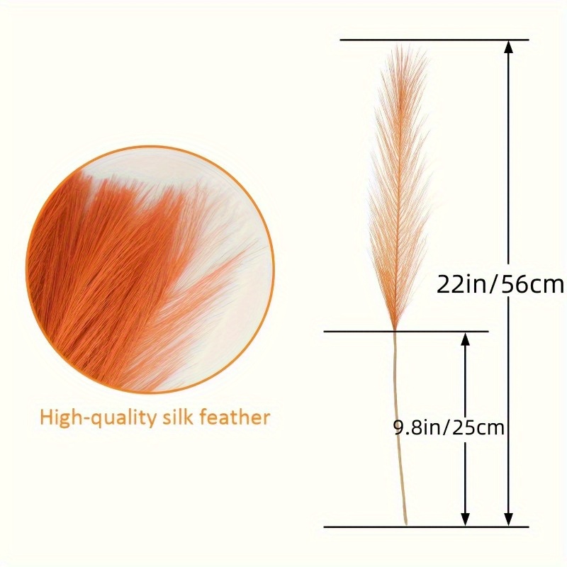 หญ้าแพมพัสสีส้มสดใส 10 ชิ้น ต้ - Pampas Grass Decor บทวิจารณ์และราคา