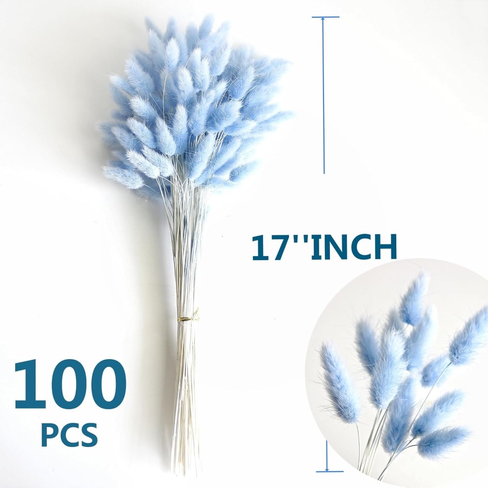 100PCS Blue Hare's-tail หญ้ากร - Pampas Grass Decor บทวิจารณ์และราคา