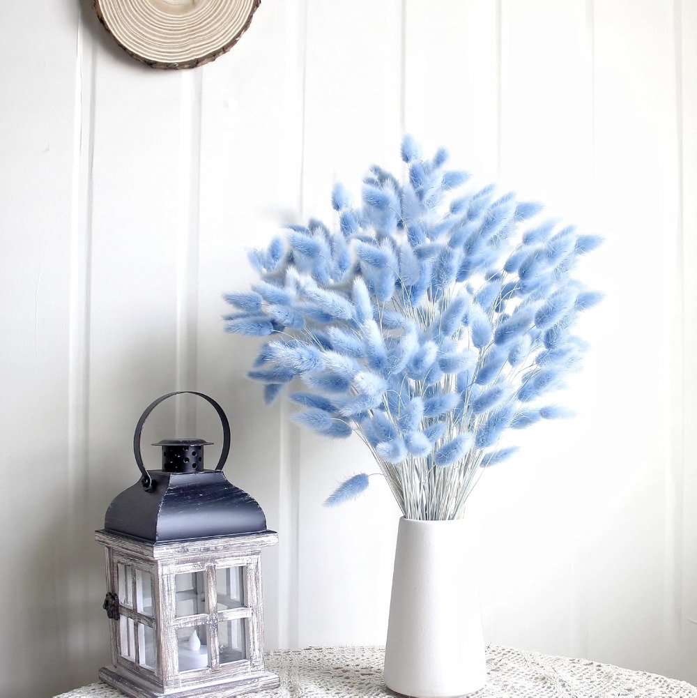 100PCS Blue Hare's-tail หญ้ากร - Pampas Grass Decor บทวิจารณ์และราคา
