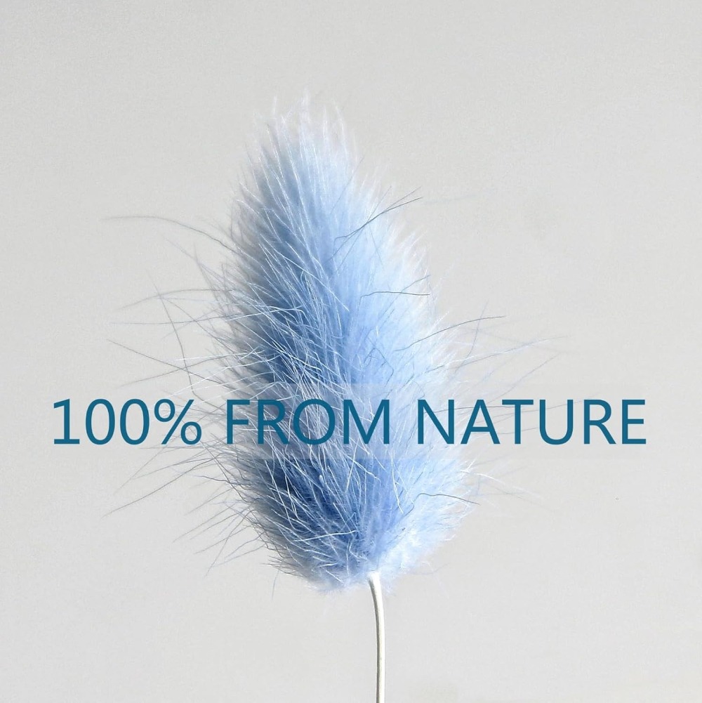 100PCS Blue Hare's-tail หญ้ากร - Pampas Grass Decor บทวิจารณ์และราคา