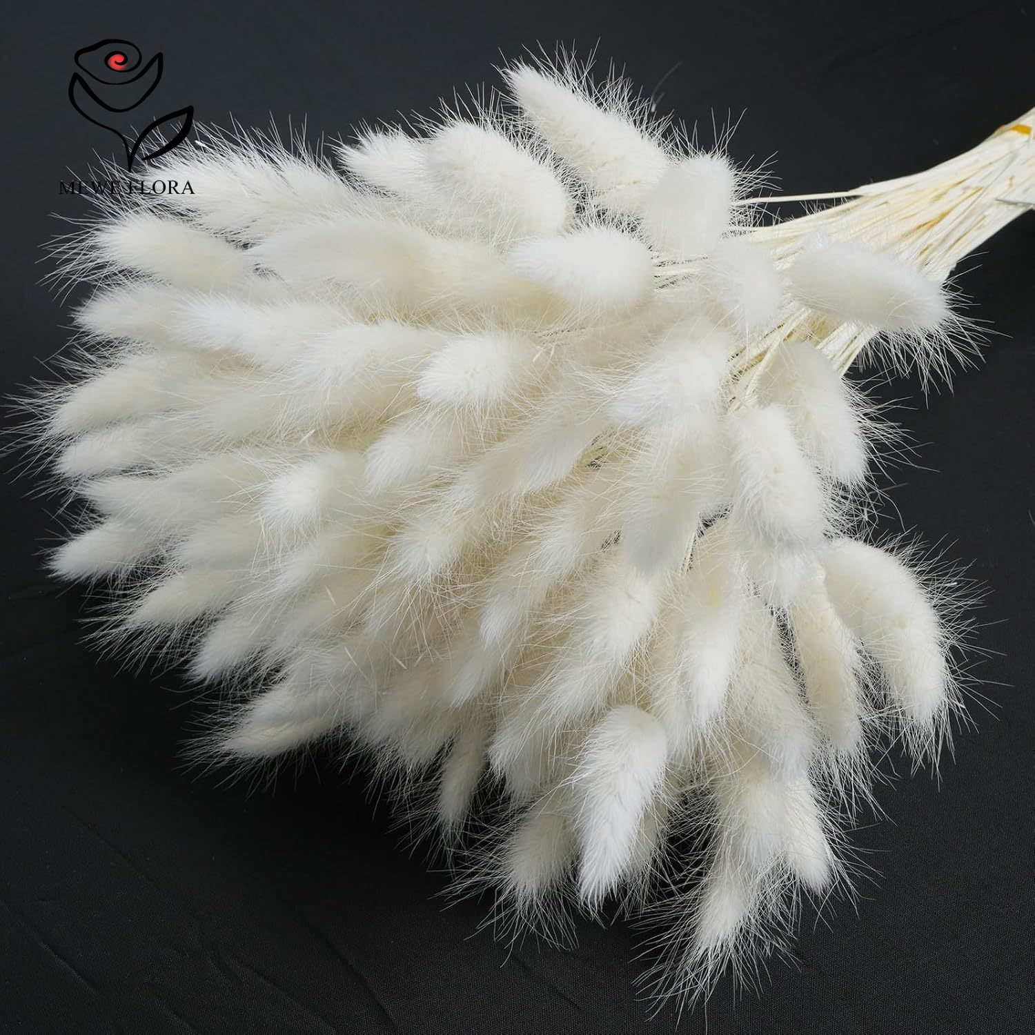 150 ชิ้น หญ้าแพมพัสสีขาวธรรมชา - Pampas Grass Decor บทวิจารณ์และราคา