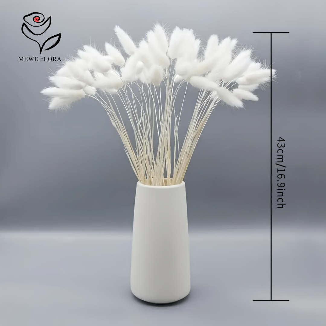 150 ชิ้น หญ้าแพมพัสสีขาวธรรมชา - Pampas Grass Decor บทวิจารณ์และราคา